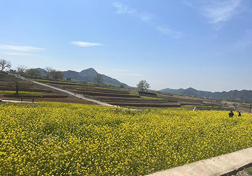 城鄉(xiāng)互融、月月有景——第十三屆北京農(nóng)田觀光季開季
