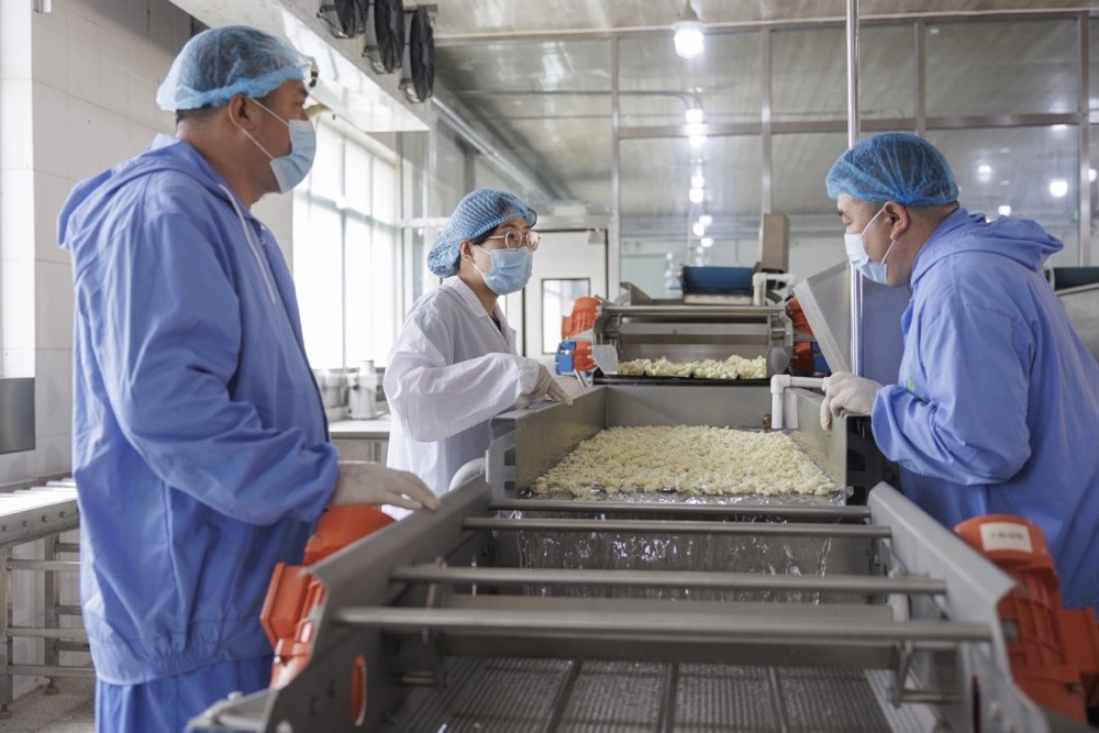 北京密云：采后技術助力鮮切凈菜降損增效